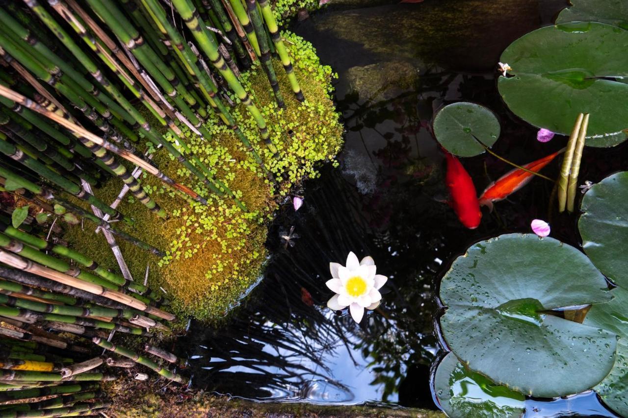 Готель La Martinoise Garden Сен-Мартен-де-Ре Екстер'єр фото